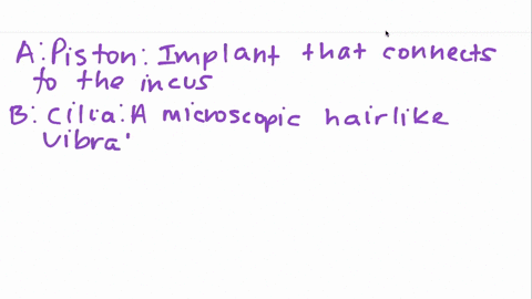 the-snail-shaped-tube-in-the-inner-ear-where-sound-waves-are-converted-into-neural-activity-is-calle