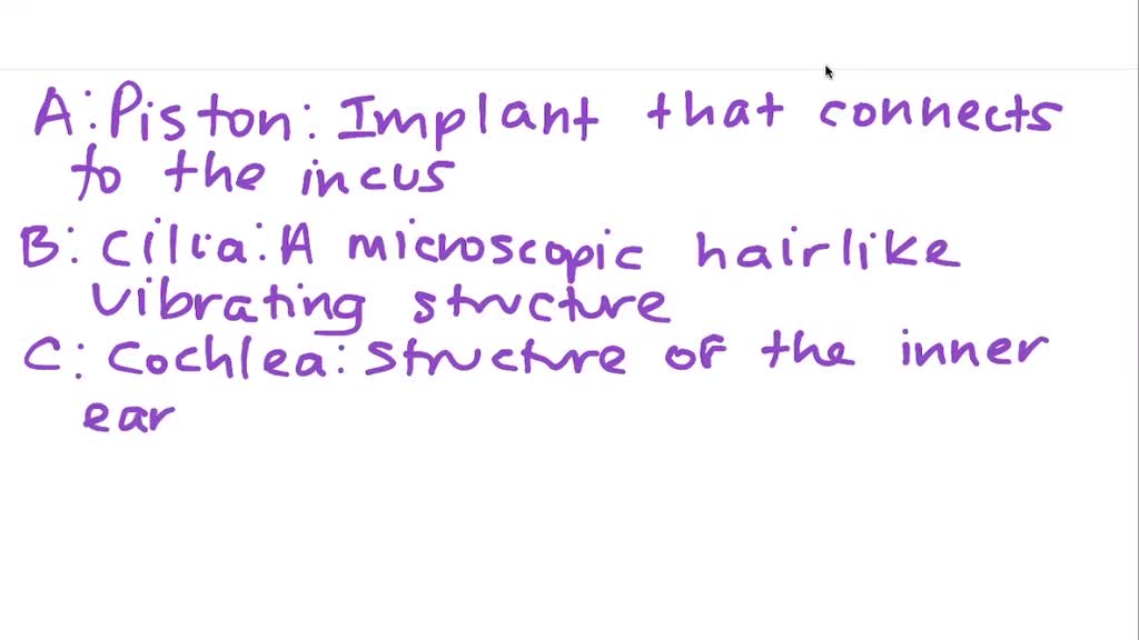SOLVEDThe snailshaped tube in the inner ear, where sound waves are converted into neural