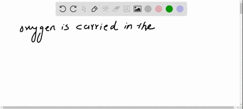 oxygen-is-carried-on-the-______