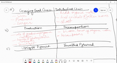 SOLVED:Distinguish between (a) Grazing food chain and detritus food ...