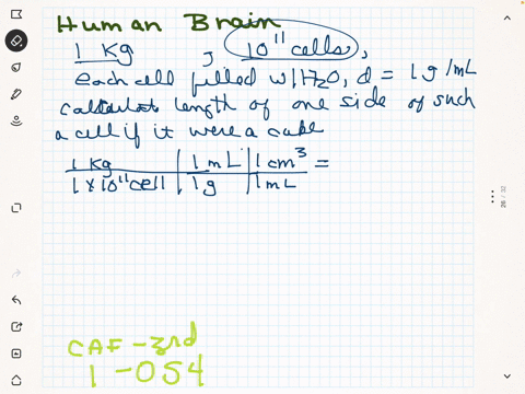 a-human-brain-weighs-about-1-mathrmkg-and-contains-about-1011-cells-assuming-that-each-cell-is-com-7