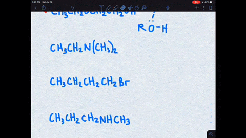 a-which-of-the-following-compounds-forms-hydrogen-bonds-between-its-molecules-1-mathrmch_3-mathrmch_