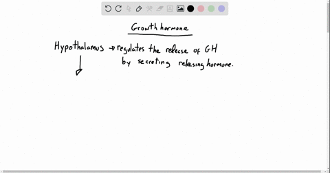 growth-hormone-a-signals-the-hypothalamus-to-produce-a-a-releasing-hormone-b-is-regulated-mainly-by-