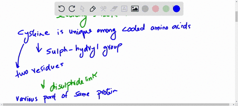 as-noted-in-chapter-3-the-amino-acid-residues-in-protein-molecules-are-exclusively-l-stereoisomers-i