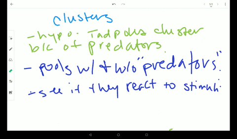 tadpole-larvae-of-certain-frogs-gather-in-clusters-so-close-together-that-the-group-looks-like-a-mov