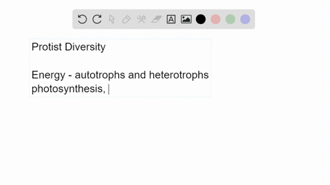 list-some-examples-of-protist-diversity-how-do-different-protist-groups-obtain-energy-how-do-they-mo