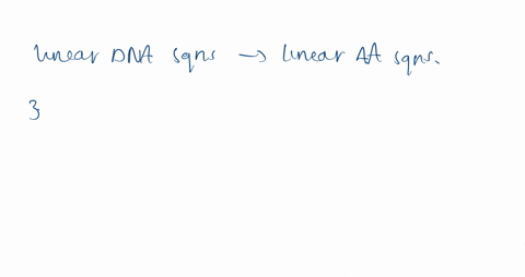what-aspect-of-primary-structure-allows-the-transfer-of-linear-nucleic-acid-information-into-the-fun