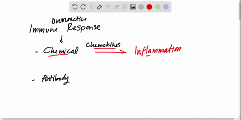 chemical-connections-30-d-what-are-two-potential-problems-caused-by-an-overactive-immune-system