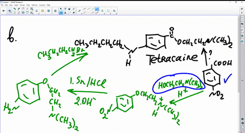 tetracaine-is-a-substance-used-as-a-spinal-anesthetic-figure-cannot-copy
