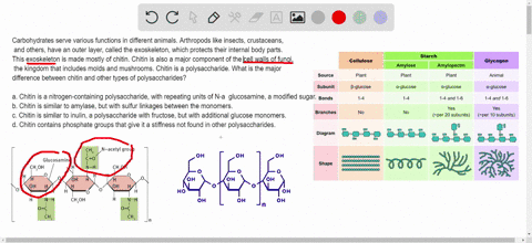 carbohydrates-serve-various-functions-in-different-animals-arthropods-like-insects-crustaceans-and-o