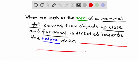 in-the-mammalian-eye-light-from-near-or-far-objects-is-focused-on-the-retina-when-a-the-lens-moves-f
