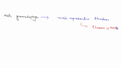 in-flowers-the-structures-that-produce-male-gametophytes-are-called-_____-the-structures-that-produc