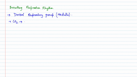 complete-the-following-sentence-by-selecting-option-the-breathing-rhythm-is-generated-in-the-influen