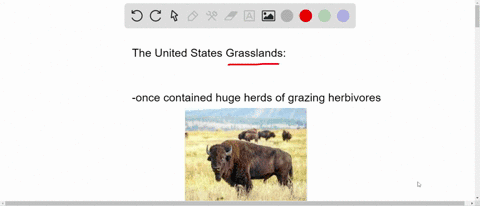which-biome-occurs-in-the-united-states-and-once-contained-huge-herds-of-grazing-herbivores-a-boreal