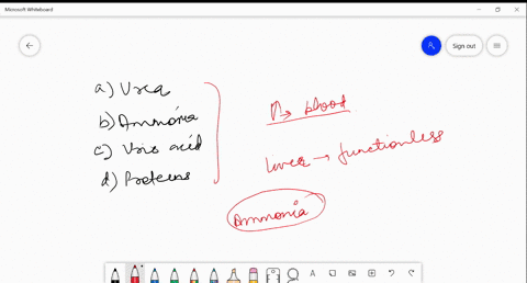 what-gets-increased-in-blood-if-liver-becomes-functionless-a-urea-b-ammonia-c-uric-acid-d-proteins
