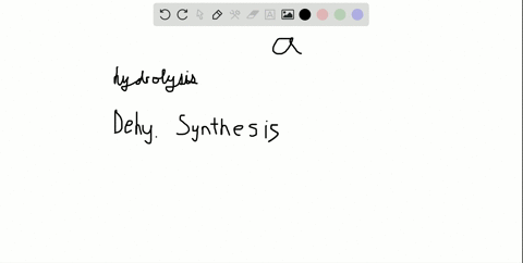 choose-the-incorrect-statement-a-peptide-bonds-are-formed-through-hydrolysis-b-vitamins-sometimes-he