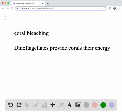 in-a-process-known-as-coral-bleaching-high-water-temperatures-cause-corals-to-expel-the-dinoflagella