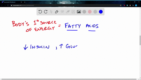 saving-protein-what-metabolic-and-hormonal-changes-account-for-decreased-gluconeogenesis-during-the-
