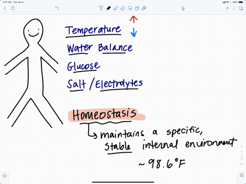 predict-what-would-happen-if-a-homeostatic-mechanism-failed-give-an-example-using-a-homeostatic-mech