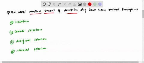 most-modern-breeds-of-domestic-dog-have-been-evolved-through-a-isolation-b-sexual-selection-c-artifi