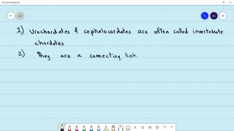 read-the-given-statements-and-select-the-correct-of-statement-1-urochordates-and-cephalochordae-ofte