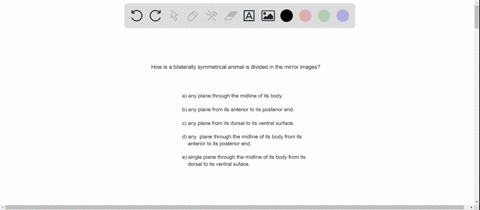 a-bilaterally-symmetrical-animal-can-be-divided-into-mirror-images-by-a-any-plane-through-the-midlin
