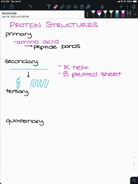 indicate-whether-each-of-the-following-statements-describes-primary-secondary-tertiary-or-quaterna-3