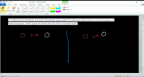 to-determine-whether-a-purple-flowered-pea-plant-of-unknown-genotype-is-homozygous-or-heterozygous-w
