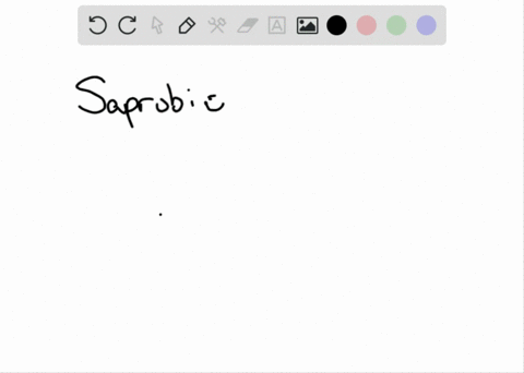 saprobic-fungi-derive-nutrients-from-____________-a-nonliving-organic-matter-b-living-plants-c-livin