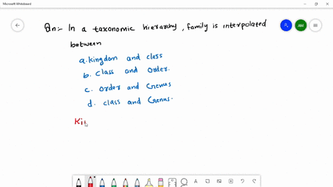 in-a-taxonomic-hierarchy-family-is-interpolated-between-a-kingdom-andctass-b-class-and-order-c-order