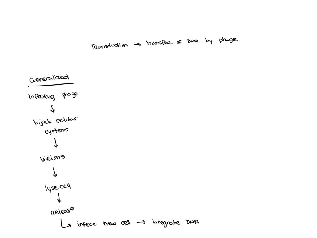 Generalized and specialized transduction both involve bacteriophages ...
