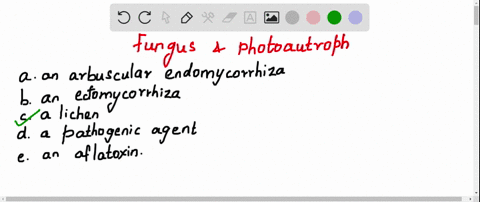 a-combination-organism-consisting-of-a-photoautotroph-and-a-fungus-is-called-a-an-arbuscular-endom-2