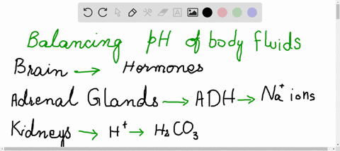 describe-three-ways-that-the-body-maintains-the-acid-base-balance-of-body-fluids-pages-232-233