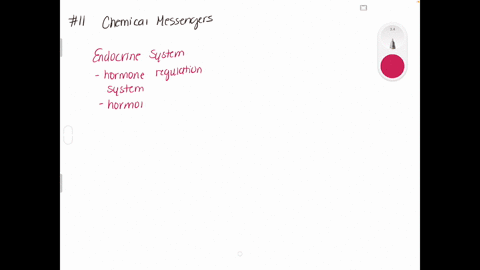 hormones-are-to-the-endocrine-system-as-__________________-are-to-the-nervous-system-a-nerves-b-syna