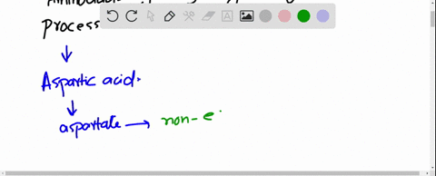 which-amino-acid-will-be-synthesized-by-the-following-process-2