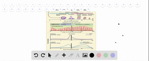 multiple-hormones-work-together-to-coordinate-the-female-reproductive-cycle-which-of-these-hormones-