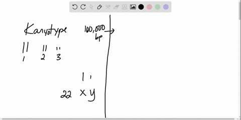 which-of-the-following-may-be-detected-using-a-karyotype-a-point-mutations-b-a-specific-genetic-mark