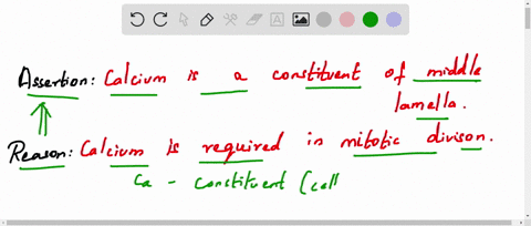 assertion-calcium-is-a-constituent-of-middle-lamella-reason-calcium-is-required-in-mitotic-division