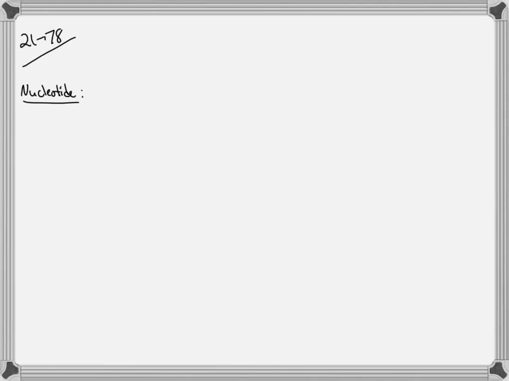 solved-the-basic-repeating-monomer-units-of-dna-and-rna-are-called