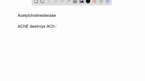 what-is-the-importance-of-acetylcholinesterase-in-muscle-cell-contraction