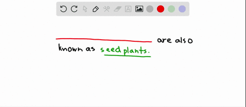 the-seed-plants-are-also-known-as-a-bryophytes-b-spermatophytes-c-pteridophytes-d-lycophytes-e-none-