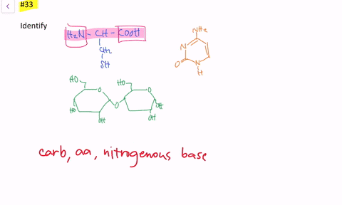 identify-each-of-the-following-structures-as-a-carbohydrate-an-amino-acid-or-a