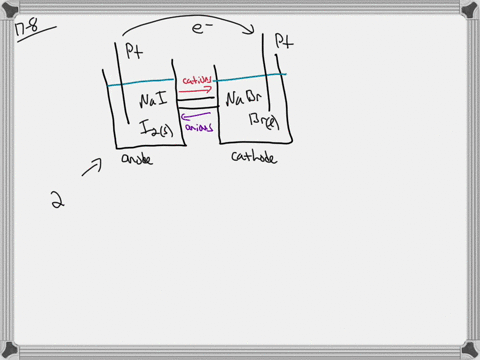 follow-the-directions-in-question-7-for-a-salt-bridge-cell-in-which-the-anode-is-a-platinum-rod-imme