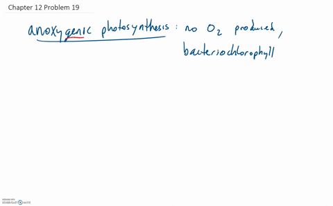photosynthesis-in-green-and-purple-bacteria-does-not-produce-mathrmo_2-why-how-can-these-organisms-2