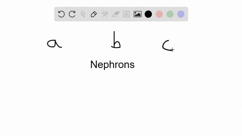 directions-each-of-the-questions-or-incomplete-statements-below-is-followed-by-five-suggested-answ-6