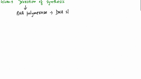 in-addition-to-rna-polymerase-transcription-of-dna-for-the-synthesis-of-mathrmmrna-requires-a-a-cont