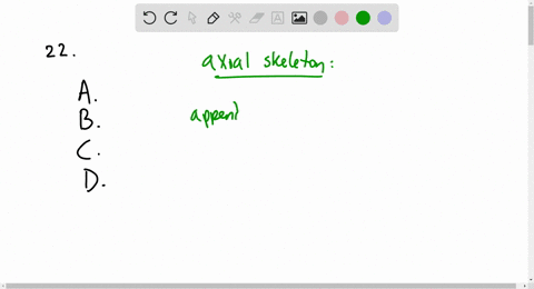 which-is-not-part-of-the-axial-skeleton-a-skull-b-ribs-c-hip-bone-d-vertebral-column
