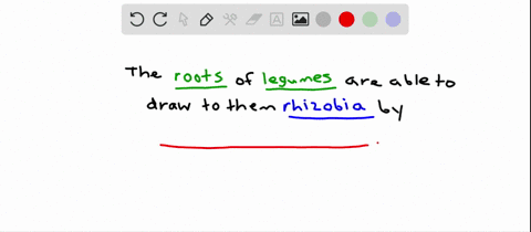 how-do-legume-roots-attract-rhizobia-a-they-secrete-flavonoids-b-they-secrete-carotenoids-c-they-sec