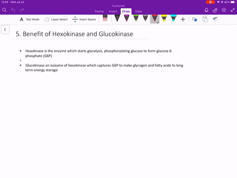 why-is-it-advantageous-for-the-liver-to-have-both-hexokinase-and-glucokinase-to-phosphorylate-glucos