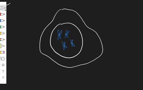 chromosome-number-________-a-refers-to-a-particular-chromosome-in-a-cell-b-is-a-characteristic-featu